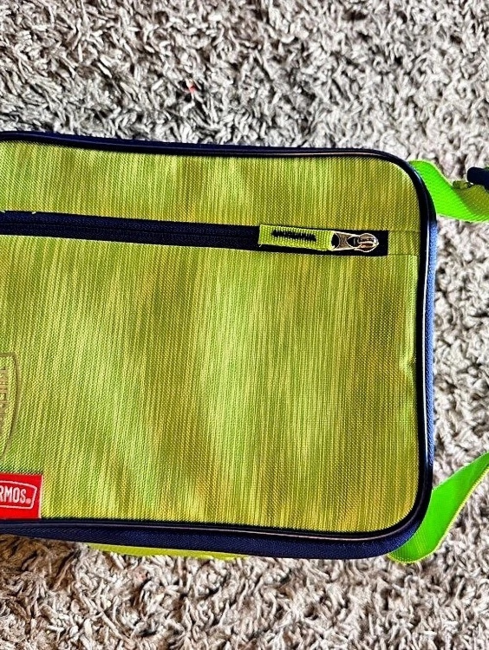Thermos Insulated Lunch Bag in Green & Blue Like New